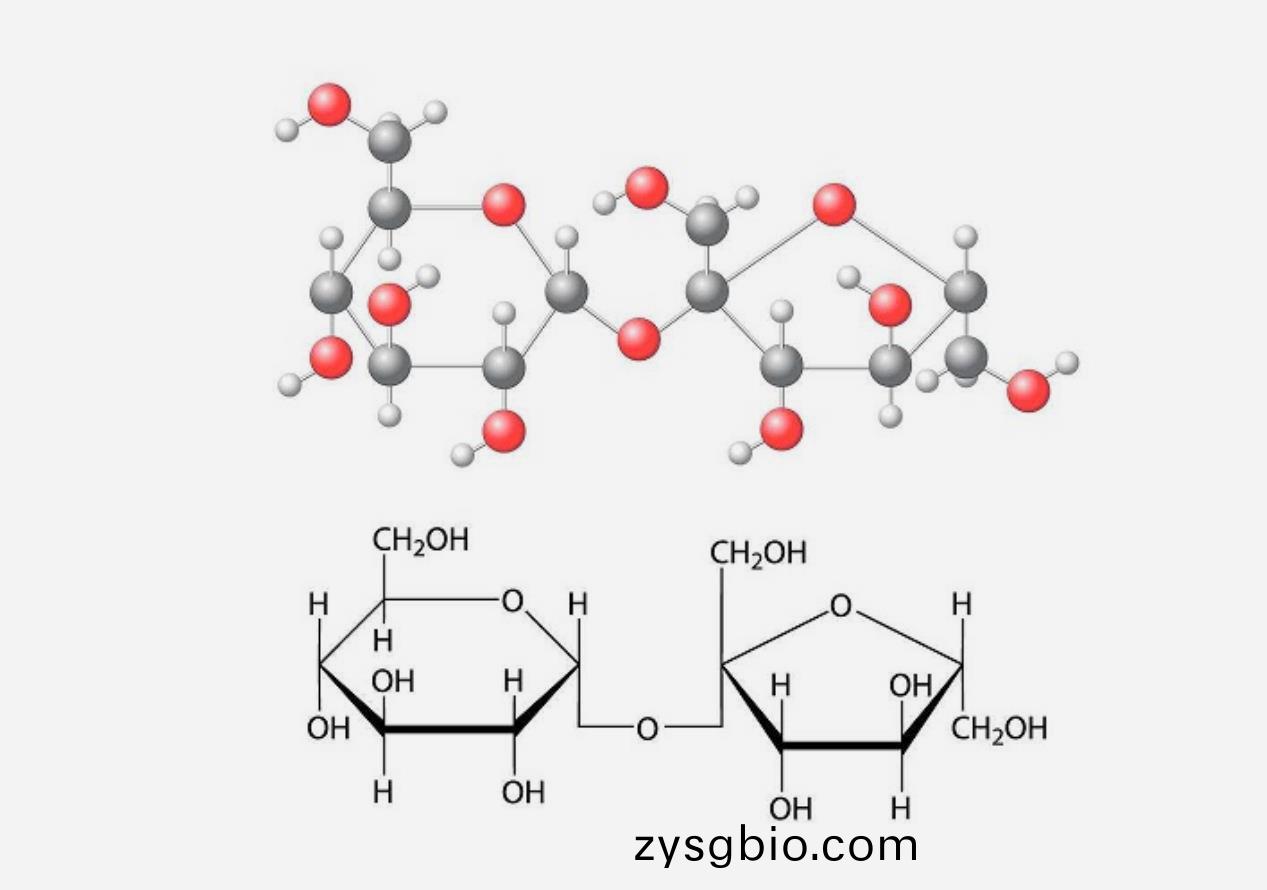 納米(mi)粒度(du)儀(yi)的(de)測量(liang)下(xia)限