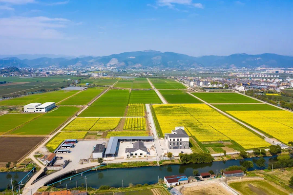 寧波海曙古林數字大田.png 寧波海曙古林數字大田.png